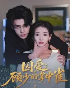 囚爱:顾少的掌中雀