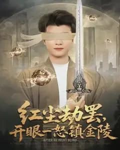 红尘劫罢,开眼一怒镇金陵