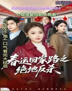 春运回家路之绝地反杀