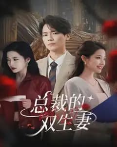 总裁的双生妻