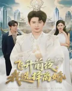 飞升前夜,我选择离婚
