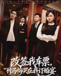 改签我车票,竹马悔哭在我订婚宴