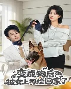变成狗后,被女上司捡回家了