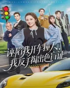 诬陷我开车撞人,我反手掏出色盲证