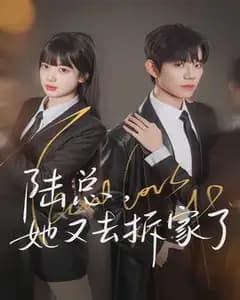 陆总,她又去拆家了