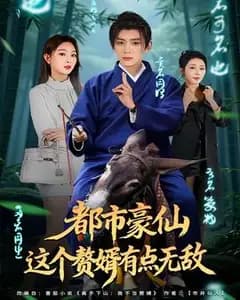 都市豪仙,这个赘婿有点无敌