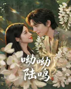 呦呦陆鸣完整版免费观看