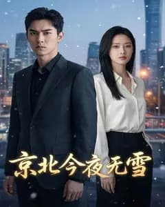 京北今夜无雪完整版免费观看