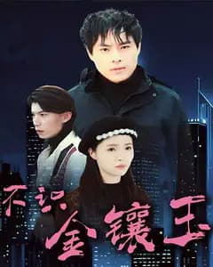 不识金镶玉完整版免费观看