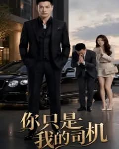 你只是我的司机完整版免费观看