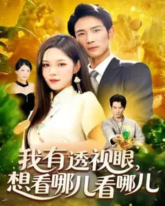 我的透视眼，想看哪儿看哪儿