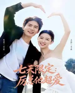 七天限定:厉总他超爱(时效恋人