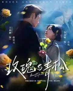 玫瑰与青松