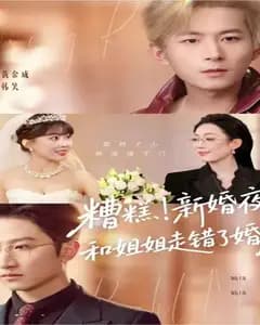 糟糕！新婚夜！和姐姐走错了婚房，糟糕新婚夜和姐姐走错了婚房