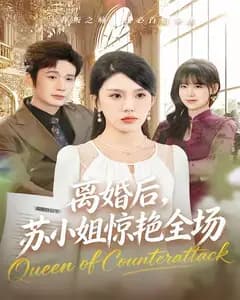 离婚后,苏小姐惊艳全场