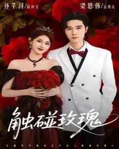 触碰玫瑰(凌晨四点半,玫瑰花未眠