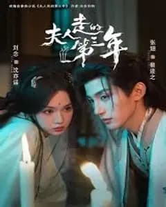 夫人走的第三年