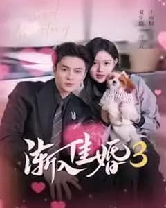 渐入佳婚3第三部