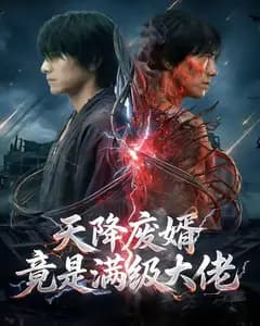 天降废婿竟是满级大佬