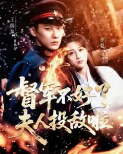 清月照鹤亭:督军夫人投敌谜案