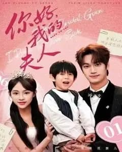 顾总,我才是你的夫人(你好,我的夫人
