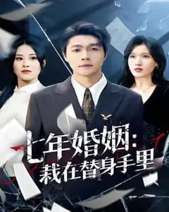 七年婚姻:栽在替身手里