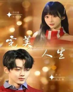 完美人生(2026