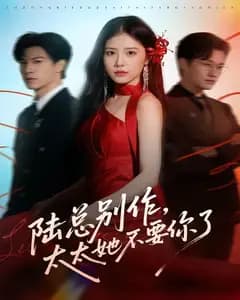 陆总别作,太太她不要你了
