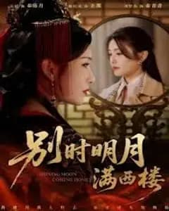 别时明月满西楼,我寄愁心与明月