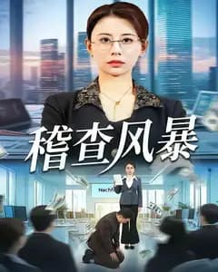 稽查风暴