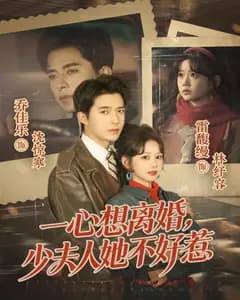 一心想离婚,少夫人她不好惹