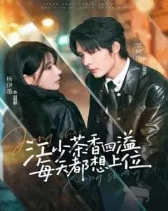 江少茶香四溢,每天都想上位