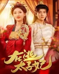 在逃太子妃