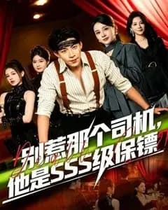 别惹那个司机,他是SSS级保镖