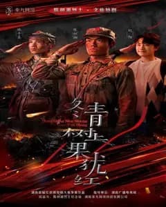 冬青红果