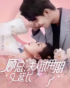 顾总,夫人试用期又延长了