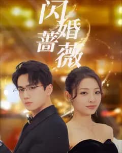 闪婚蔷薇