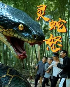 灵蛇怒