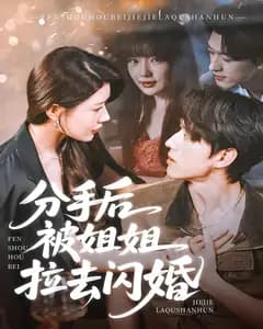 分手后被姐姐拉去闪婚