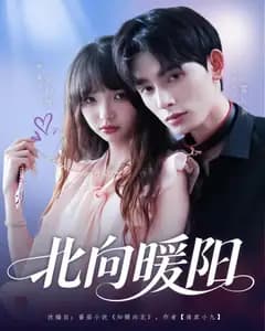 北向暖阳