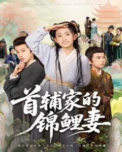 首辅家的锦鲤妻