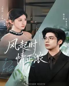 风起时情正浓