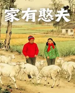 家有憨夫