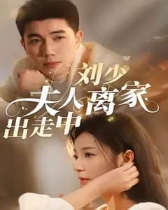刘少,夫人离家出走中
