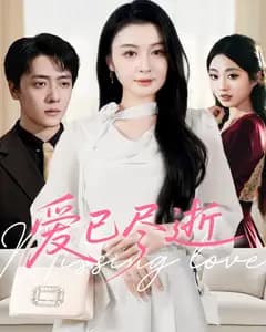 爱已尽逝