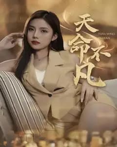天命不凡