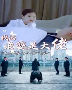 我的老婆是大佬