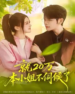 就20万!本小姐不伺候了