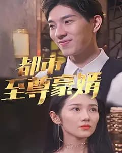 都市至尊豪婿