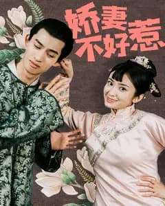 娇妻不好惹